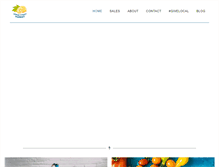 Tablet Screenshot of lemonstreetmarket.com